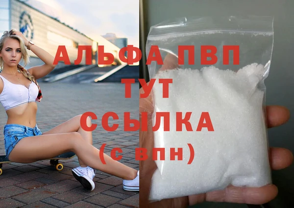 бошки Пересвет
