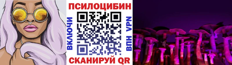 Псилоцибиновые грибы мицелий  блэк спрут ССЫЛКА  Губкин  как найти  